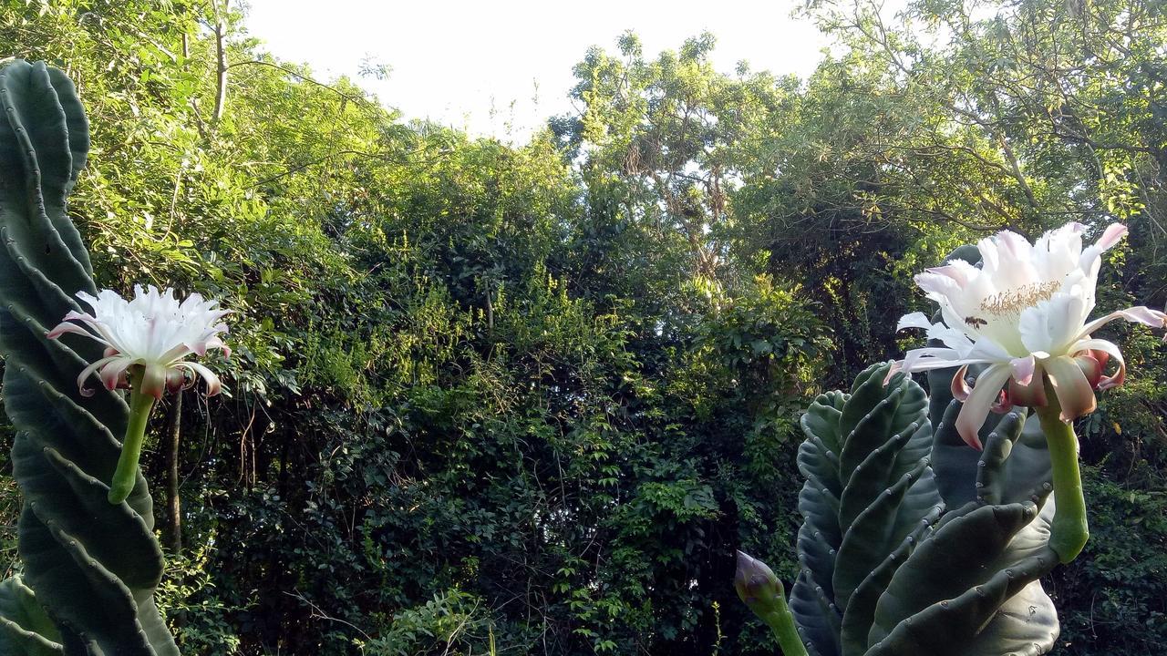 Posada Camboata Aristóbulo del Valle エクステリア 写真