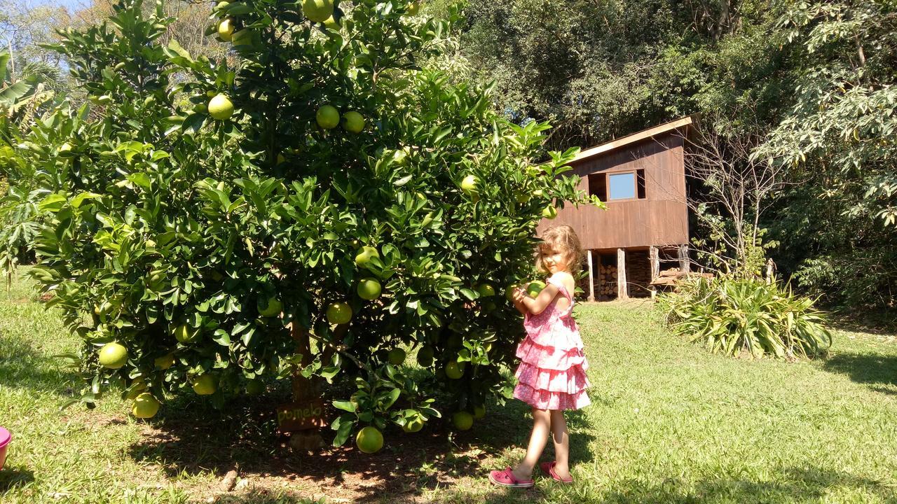 Posada Camboata Aristóbulo del Valle エクステリア 写真